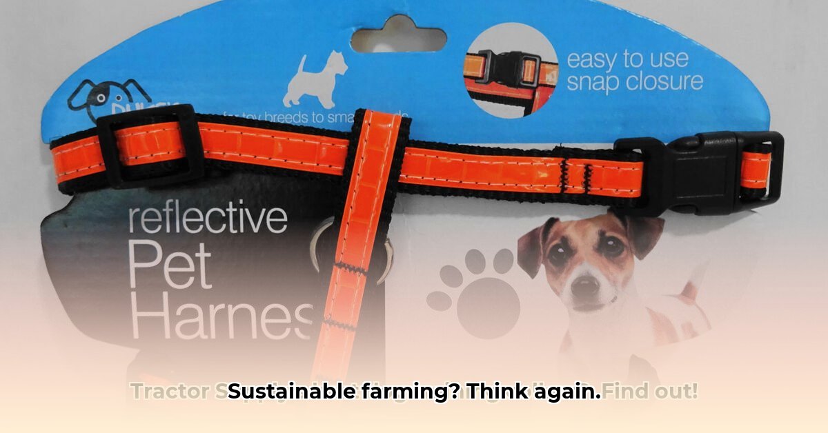shock-collar-tractor-supply